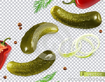 Pickled cucumbers. Gherkin, dill, pepper, onion, coriander seeds. 3d vector vegetables Vector Illustration