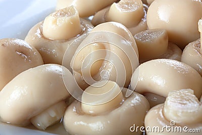 Pickled mushrooms Stock Photo