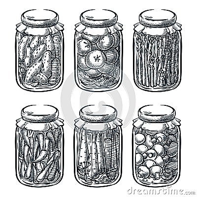 Pickled vegetables, mushrooms in glass jar, vector sketch illustration. Home made preserves hand drawn design elements Vector Illustration