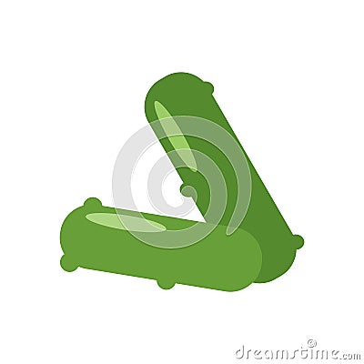 Pickles icon vector isolated on white background, Pickles sign Vector Illustration