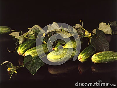 Pickles with leaves and yelow flowers Stock Photo