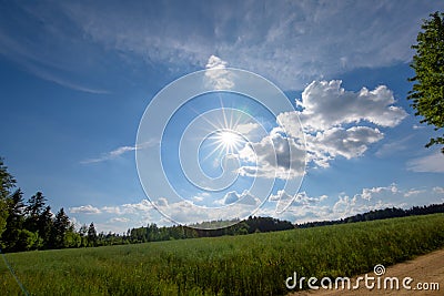 Sun star at a field in the summer Stock Photo