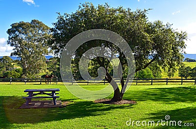 Picnic Area Stock Photo