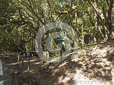 Picnic area next to road at Raso de La Bruma part of laurisilva forest with mossy laurel trees. Garajonay National Park Stock Photo