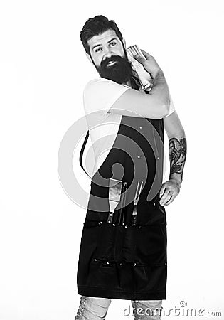 Picnic and barbecue. How choose meat for steak and barbecue. Barbecue menu. Bearded hipster wear apron for barbecue Stock Photo