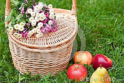 Picnic basket and bright apples on the grass Stock Photo