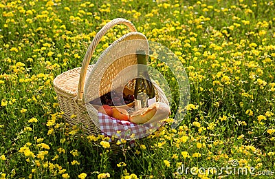 Picnic basket with wine, bread and fruits Stock Photo