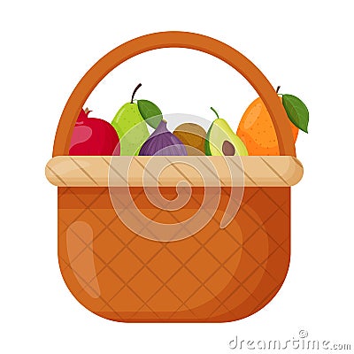 Picnic baskets. Wicker backet with fresh fruits. Pomegranate, pear, fig, kiwi, avocado, mango. Flat vector illustration Vector Illustration