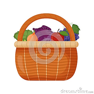 Picnic baskets. Wicker backet with fresh fruits. Broccoli, onion, cabbage, pepper, apple, grape. Flat vector Vector Illustration