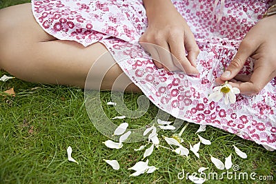 Picnic Close up Pulling Petals Stock Photo