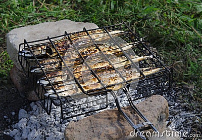 Picnic. Fresh sea fish cooks on a lattice on hot coals Stock Photo