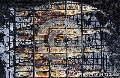 Picnic. Fresh sea fish cooks on a lattice on hot coals Stock Photo