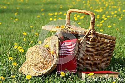Picnic on the grass Stock Photo