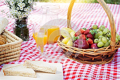 Picnic Lunch Meal Outdoors Park Food Concept, Closeup of picnic Stock Photo