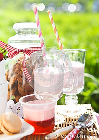 Picnic with strawberry, cookies, strawberry milk, jelly and macaroons Stock Photo