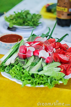 A picnic in the summer on the nature. on a plate of chopped fresh vegetables: tomatoes, cucumbers, radishes, salad Stock Photo