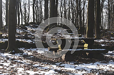 The picnic table in the forest Stock Photo