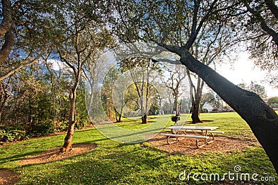 Picnic table in public park Stock Photo