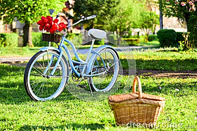 Picnic time. Nature cycling tour. Rent bike to explore city. Retro bicycle with picnic basket. Bike rental shops Stock Photo