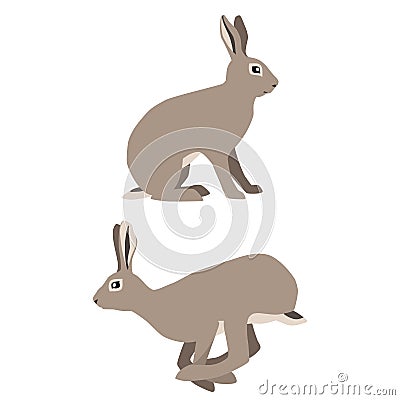 Sitting and jumping hares Stock Photo