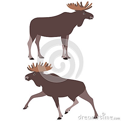 Standing and running moose Vector Illustration
