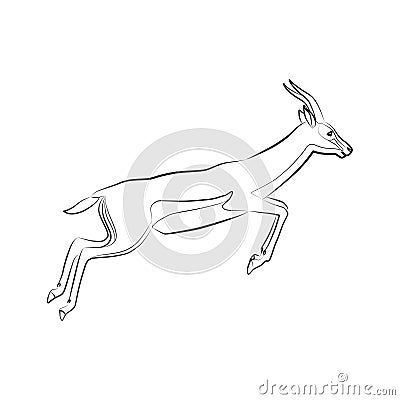 Thomson`s gazelle Vector Illustration