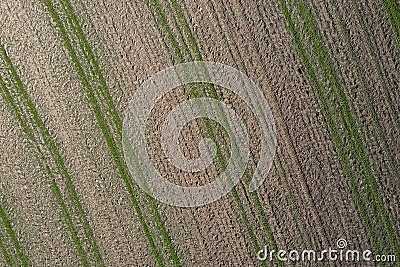 Picture of an aerial view with a drone of a field and field with tractor tracks in the Bavarian forest near Grafenau, Germany Stock Photo