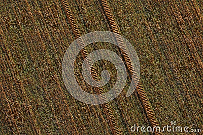 Picture of an aerial view of a field with tractor tracks Stock Photo
