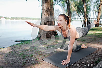 A picture of attractive woman excercising. She is standing on right knee and stretching straight forward. Also she is Stock Photo