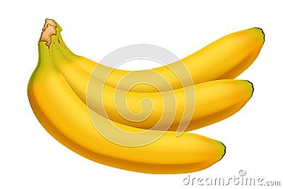 Picture of banana Vector Illustration