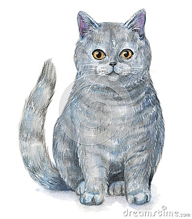 British Shorthair cat Cartoon Illustration