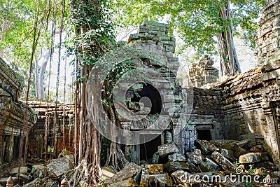 This picture captures a medieval Khmer stone building in ruins, hidden among the plants in a Cambodian forest Stock Photo