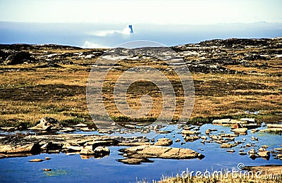 Tundra with ocean and an iceberg -Impression of a hiking tripp on the westcoast of Greenland Stock Photo