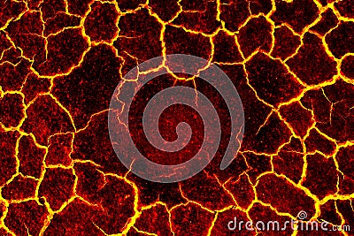 Picture concept and ideas about drought, the shell. Stock Photo