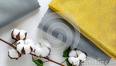A picture of a cotton tree. Stock Photo