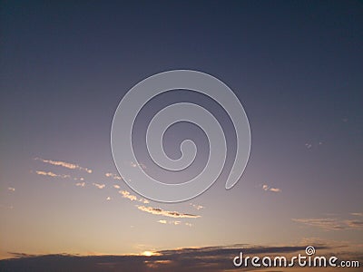 Picture dark blue sky with one birds Stock Photo