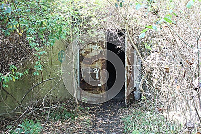 Hidden Bunker Door Stock Photo