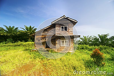 Dilapidated wooden house among trees Stock Photo