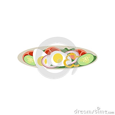 Picture of a full plate of vegan food on a white background. Vector illustration Vector Illustration