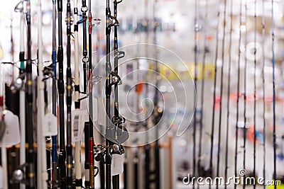 Picture of good fishing rods for fishing Stock Photo