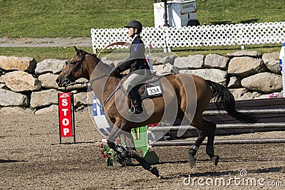 Picture of horse with rider during competition Editorial Stock Photo