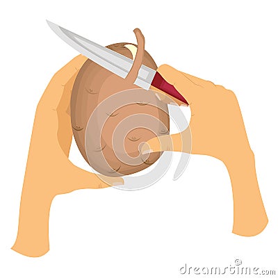 Picture how to peel potatoes from the peel. The left hand holds potatoes, the right hand holds the knife and gently cuts the skin Cartoon Illustration