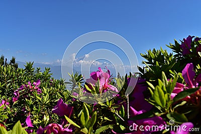 Batasia loop- Darjeeling Stock Photo