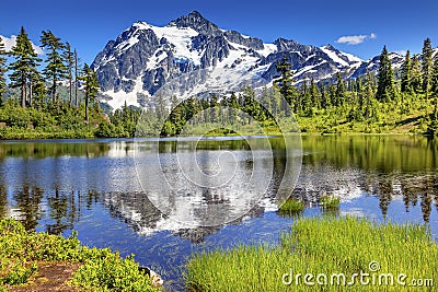 Picture Lake Evergreens Mount Shuksan Washington USA Stock Photo