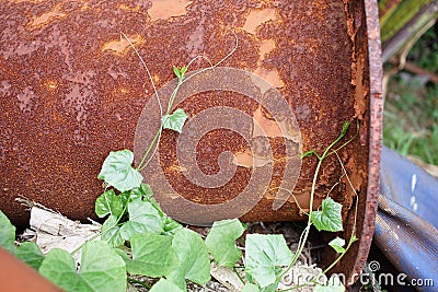 Picture of old iron with almost rusted surface Stock Photo