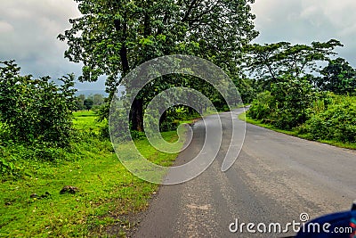 Picture of a path taking to the dense forest in monsoon in India Stock Photo