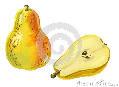 Picture of pear Vector Illustration