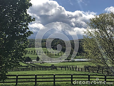 Picture perfect horse farm Stock Photo