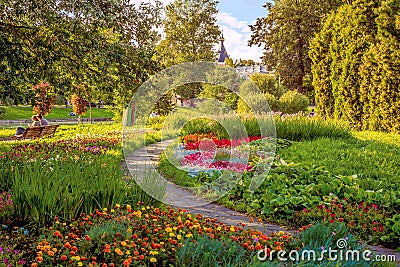 A picture of a pleasant stay in the city garden on a sunny day among bright flowers and green spaces. Beautiful summer landscape Editorial Stock Photo