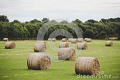 Picture of sheaves of hay in Ireland. Stock Photo